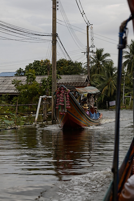 Talin chan-NOV13-087